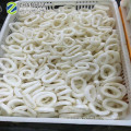 Frozen squid ring good price with EU approval